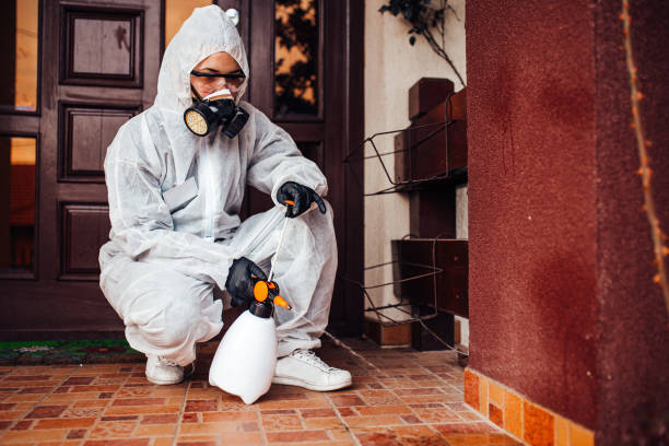 Reliable Wasp Removal contractor in Lawrenceburg, KY by Show Me Pest Control